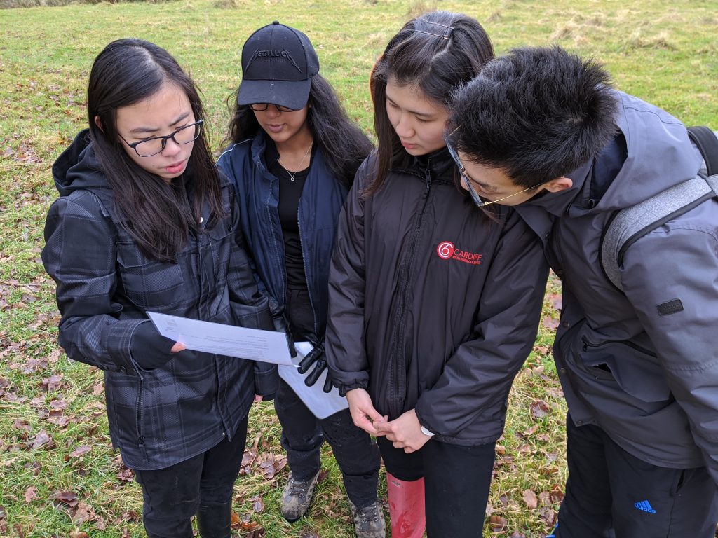 Students from a sixth form college in Cardiff on a team building exercise