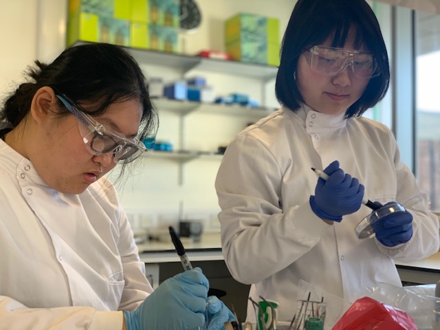 students from an A level college holding petri-dishes and wearing goggles