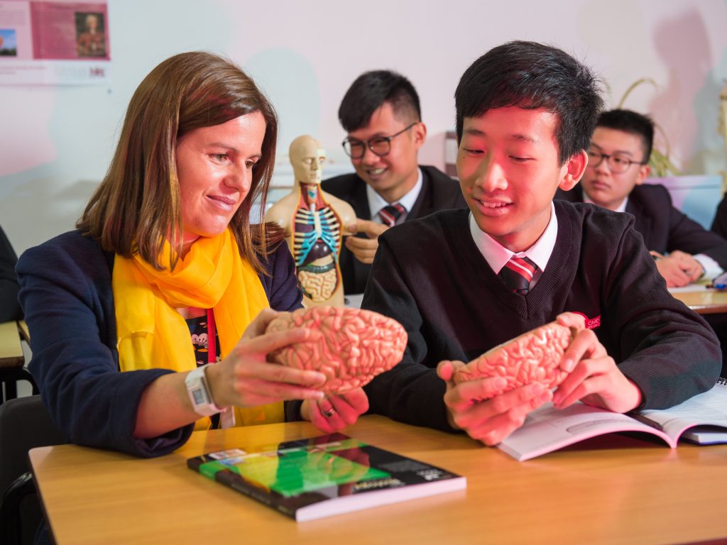 children holding model brains