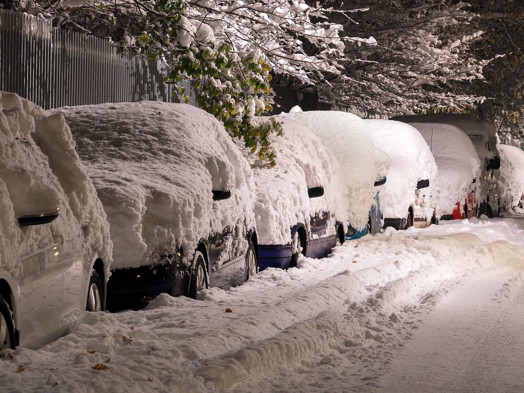 cars covered in snow